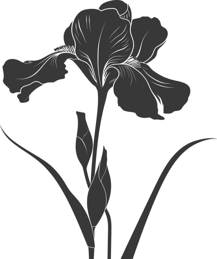 ai generato silhouette iris fiore nero colore solo vettore