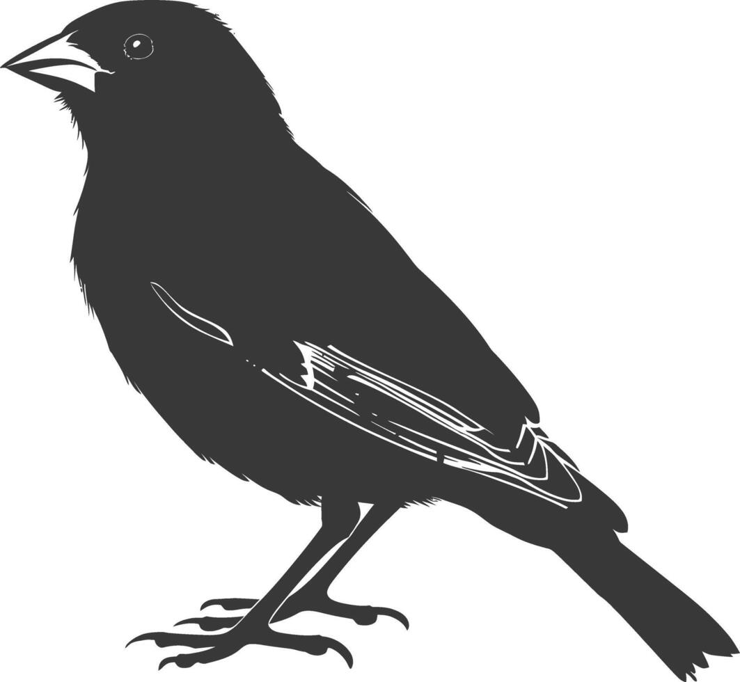 ai generato silhouette Casa passero uccello animale nero colore solo vettore