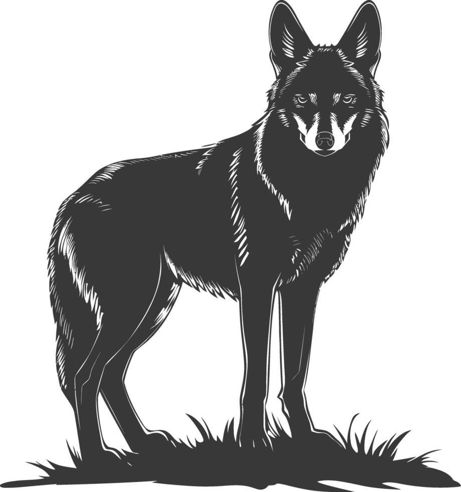 ai generato silhouette coyote animale nero colore solo pieno corpo vettore