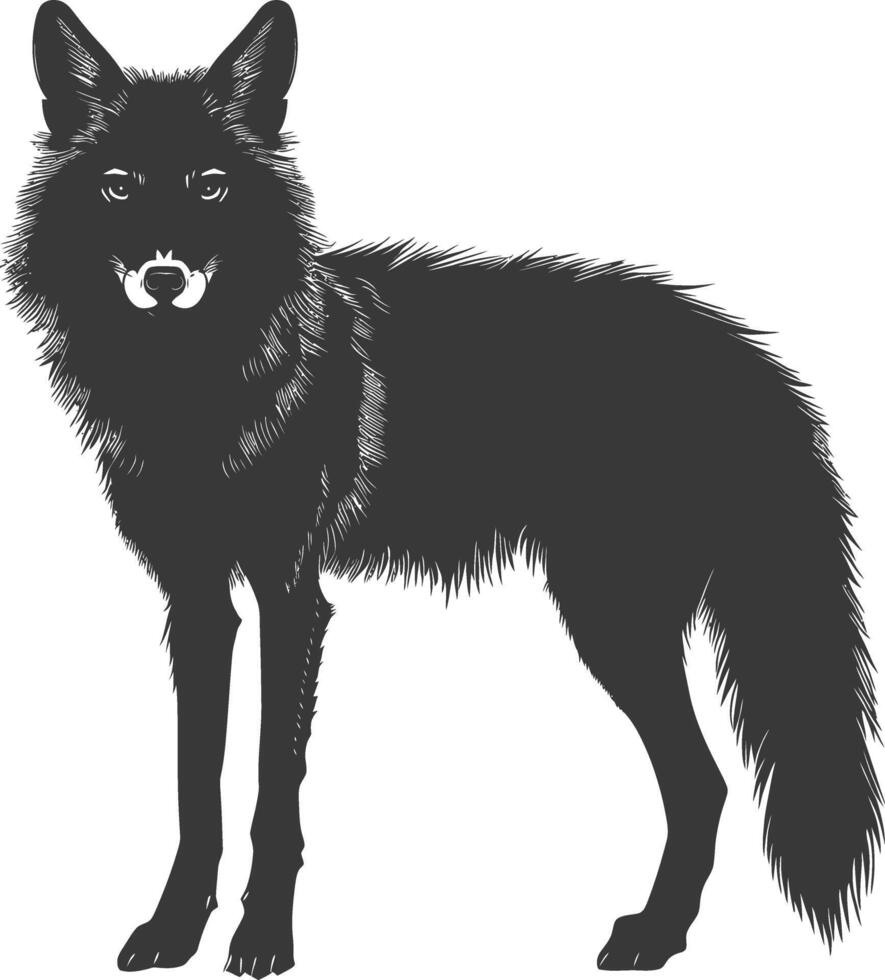 ai generato silhouette coyote animale nero colore solo pieno corpo vettore