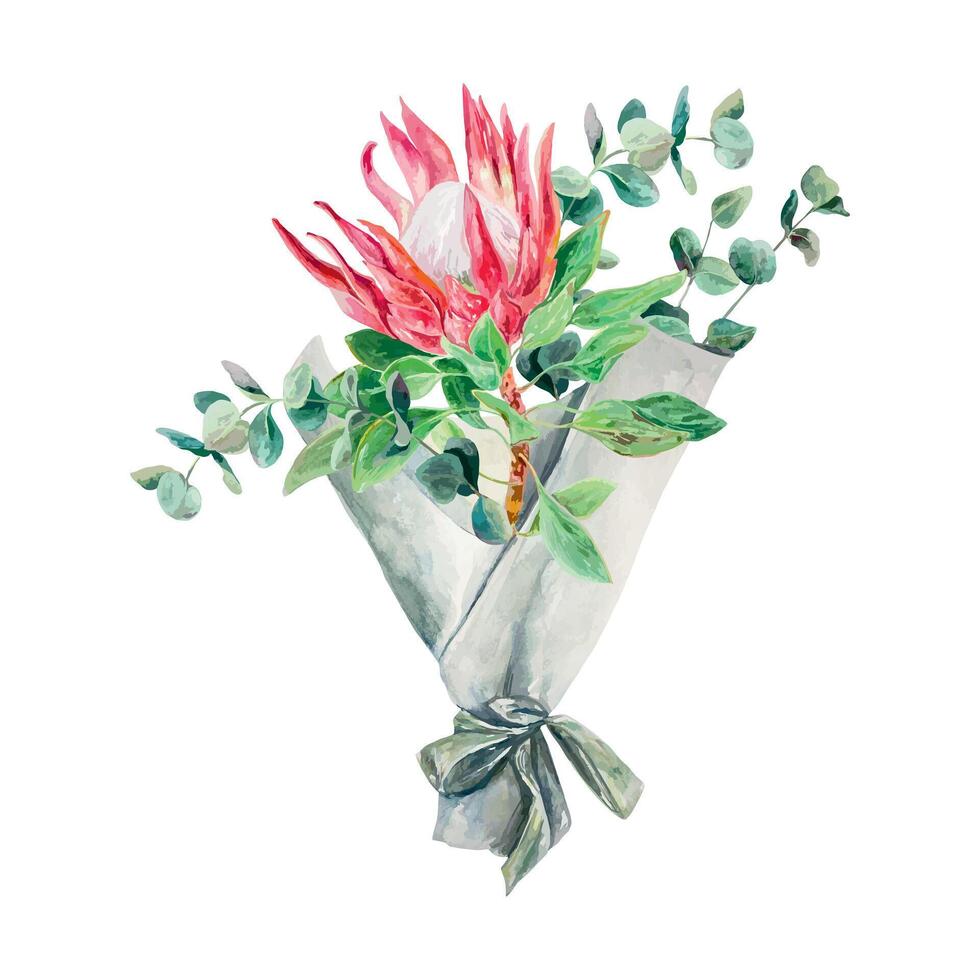 protea acquerello, eucalipto ramo, mazzo. vettore illustrazione di rosa fiori. design elemento per carte, nozze inviti, striscioni, copertine, etichette, volantini.
