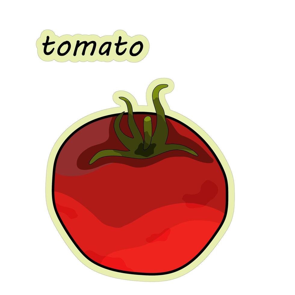 pomodoro è un' verdura. pomodoro etichetta, mano disegnato, vettore illustrazione nel scarabocchio stile