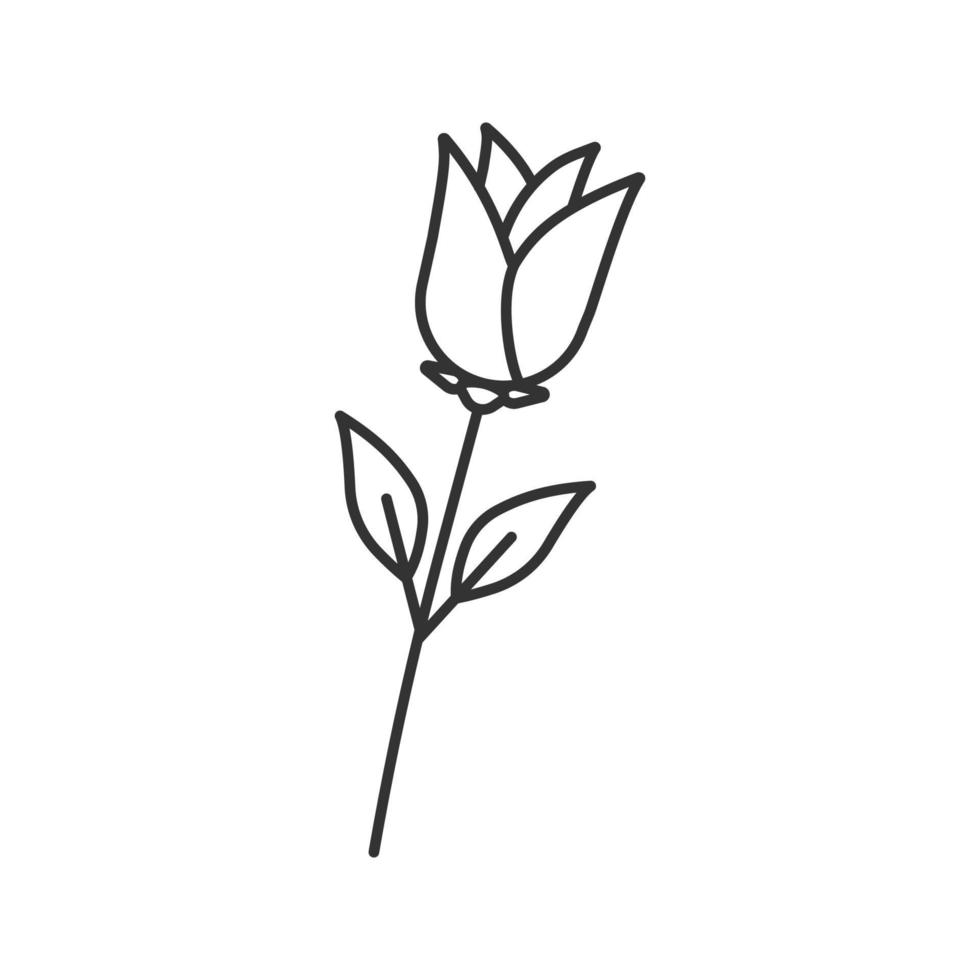icona lineare del fiore di rosa. illustrazione al tratto sottile della pianta in fiore. simbolo di contorno fiore decorativo. disegno vettoriale isolato contorno