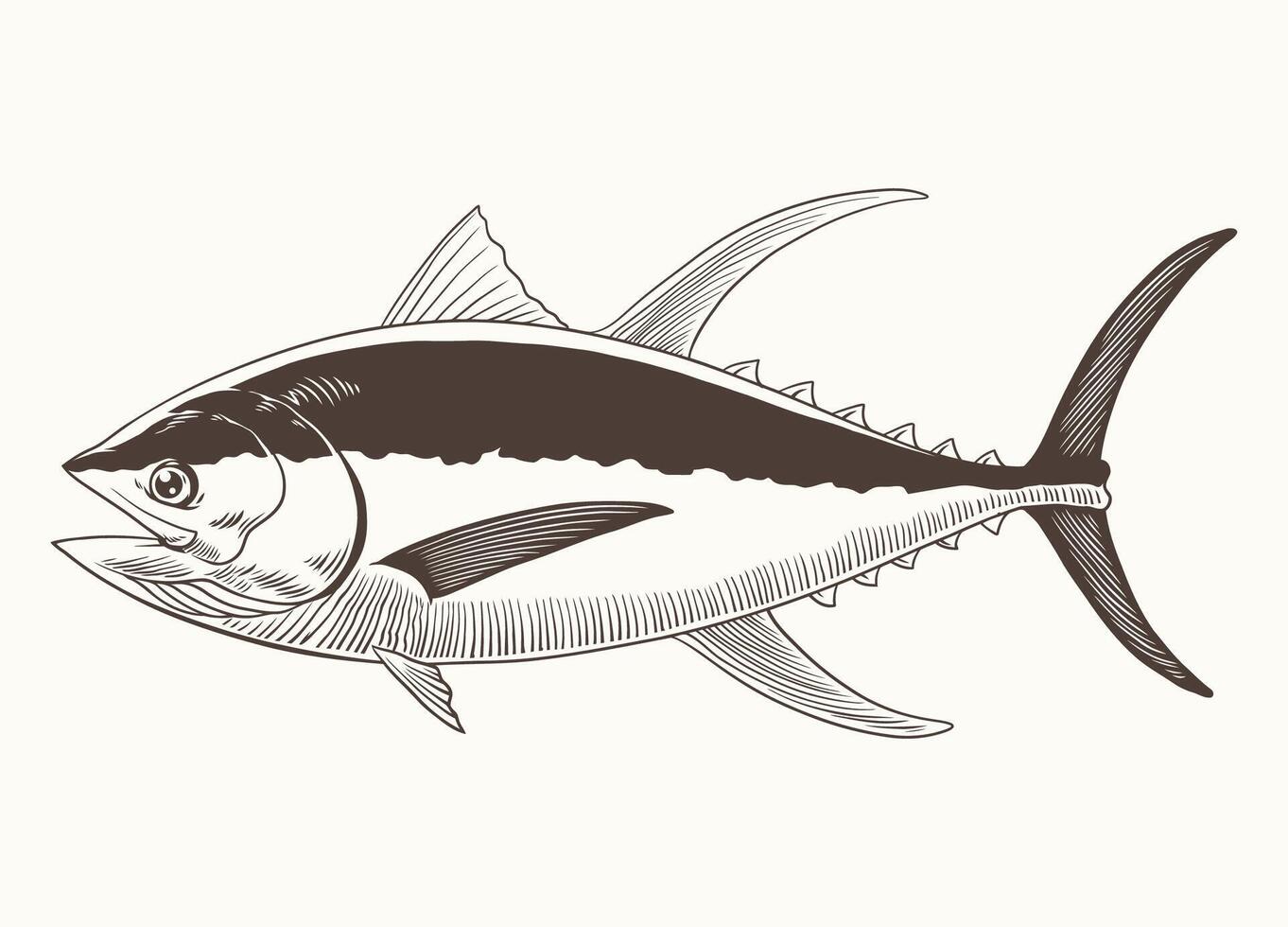 tonno pesce mano disegno Vintage ▾ incisione illustrazione vettore