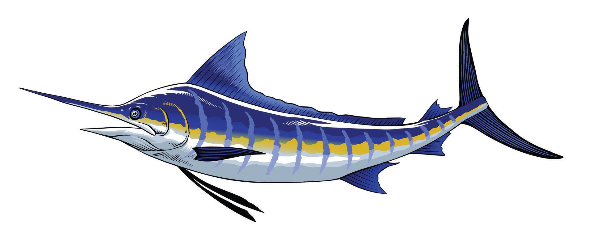 blu Marlin mano disegnato illustrazione Vintage ▾ vettore