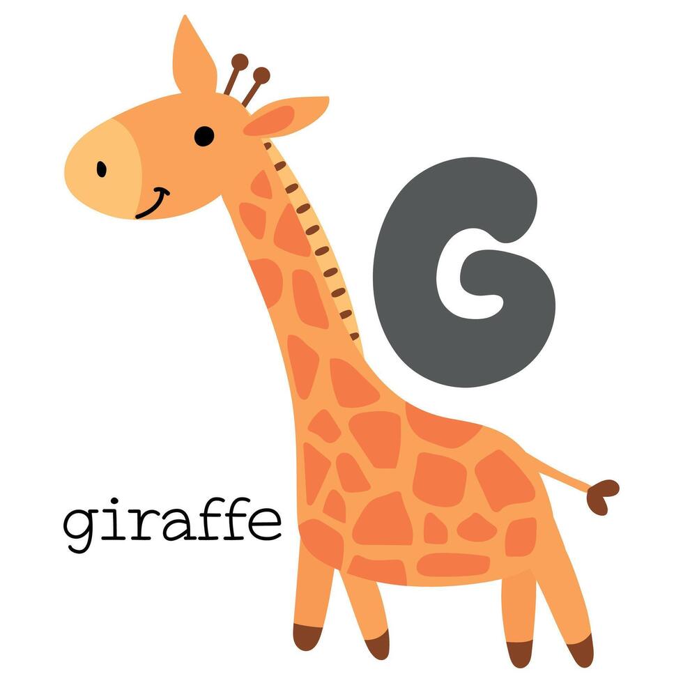 educativo illustrazione di lettera g a partire dal alfabeto. vettore