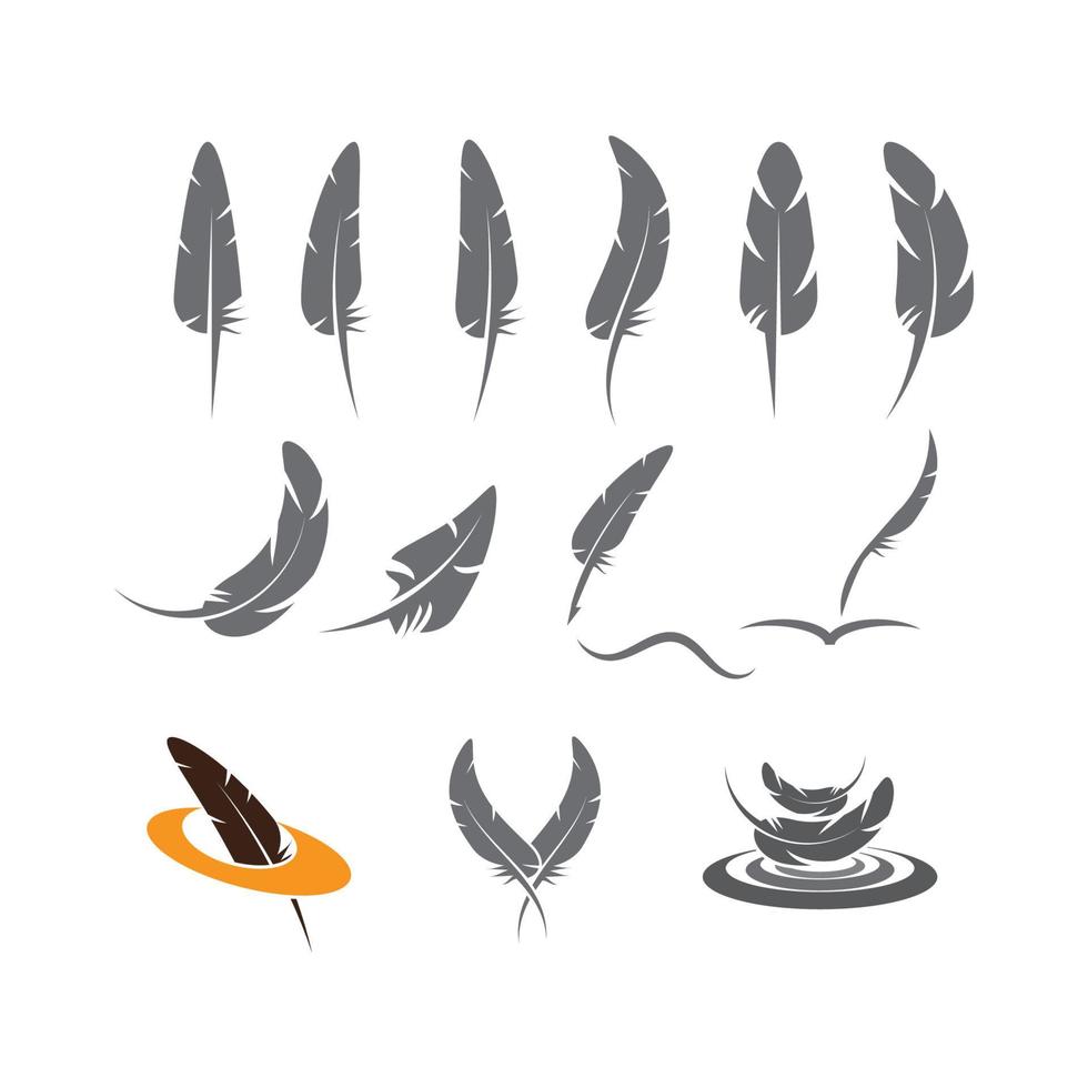 modello di logo di progettazione dell'illustrazione di vettore dell'icona delle piume
