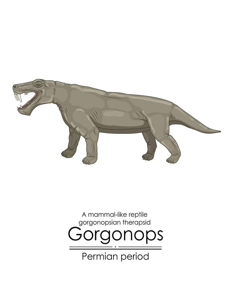 gorgonopi, un' lontano parente di mammiferi con acuto denti e un' unico aspetto vettore