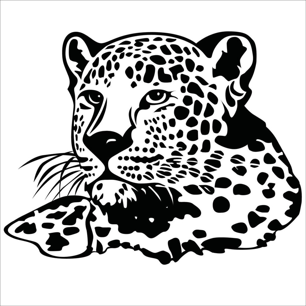 leopardo testa africano grande 5 vettore