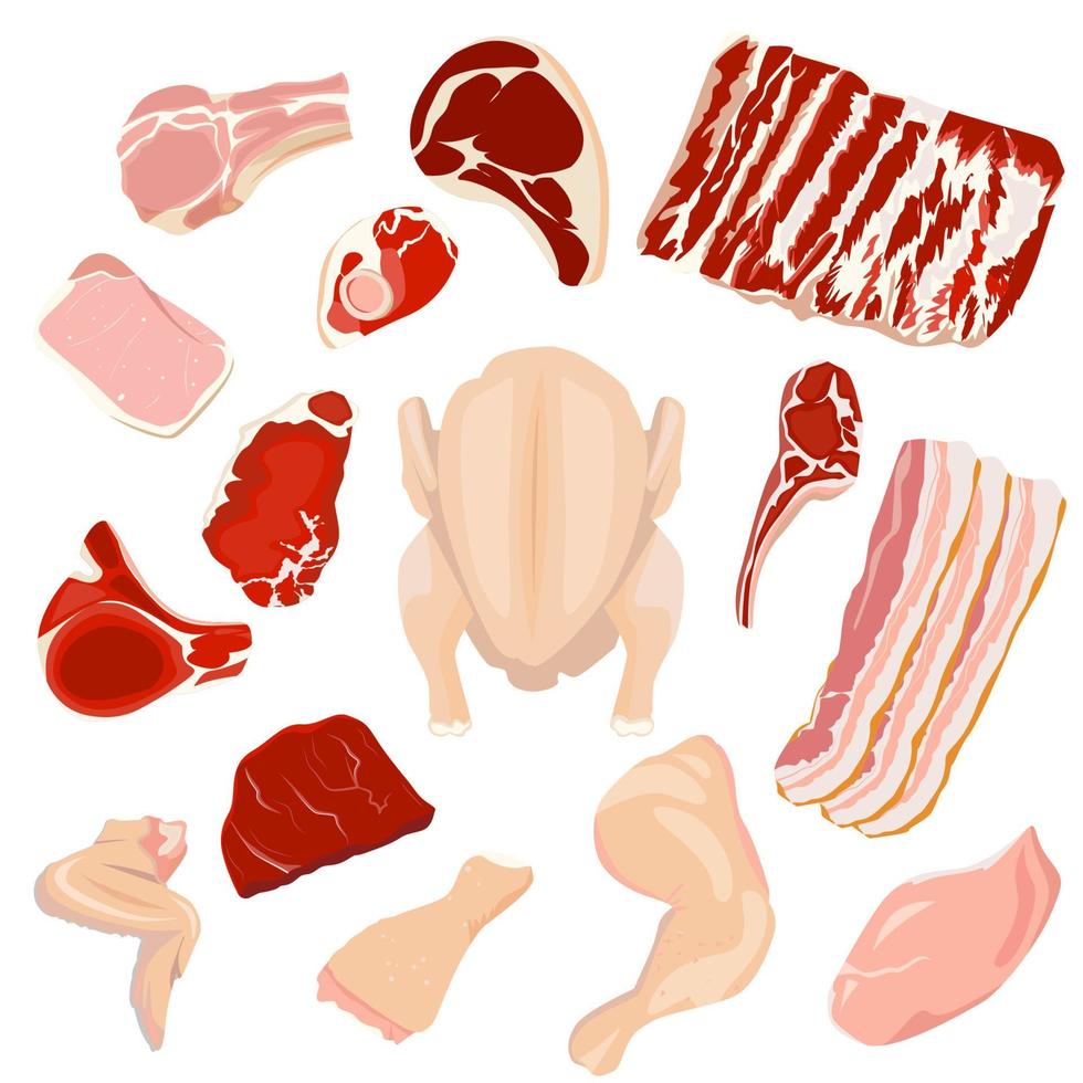 carne macinata, bistecche, prosciutto, pancetta di maiale, manzo e agnello, pollo, tacchino. prodotti sul bancone della macelleria. vettore
