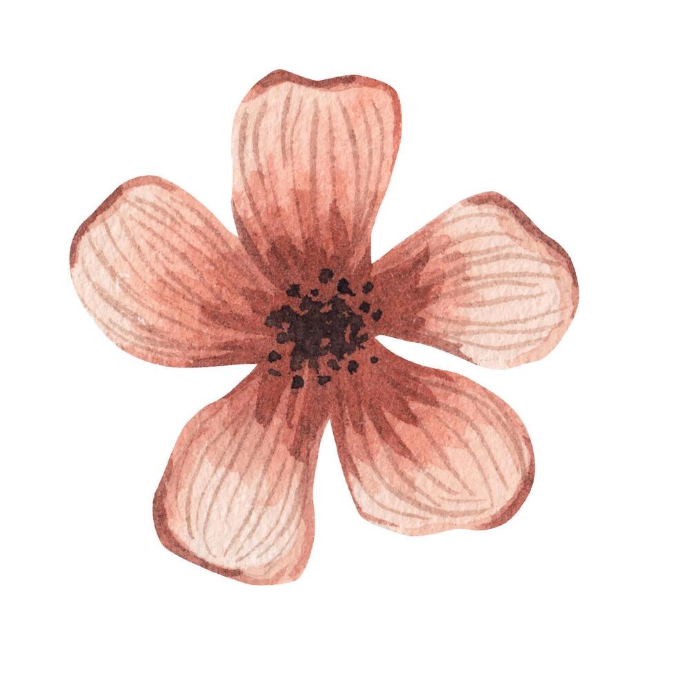 rosa fiore. acquerello illustrazione vettore