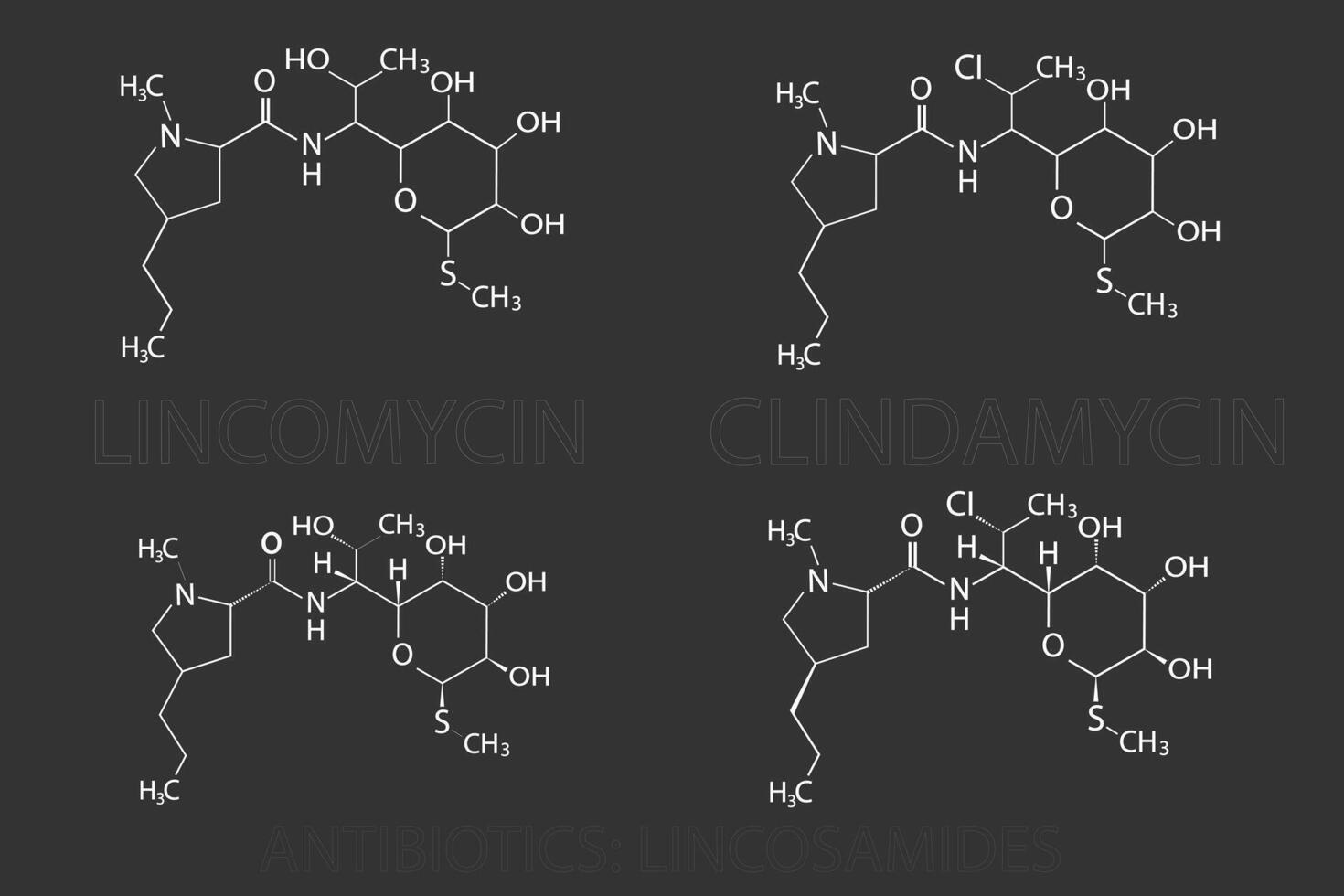 antibiotici lincosamidi molecolare scheletrico chimico formula vettore