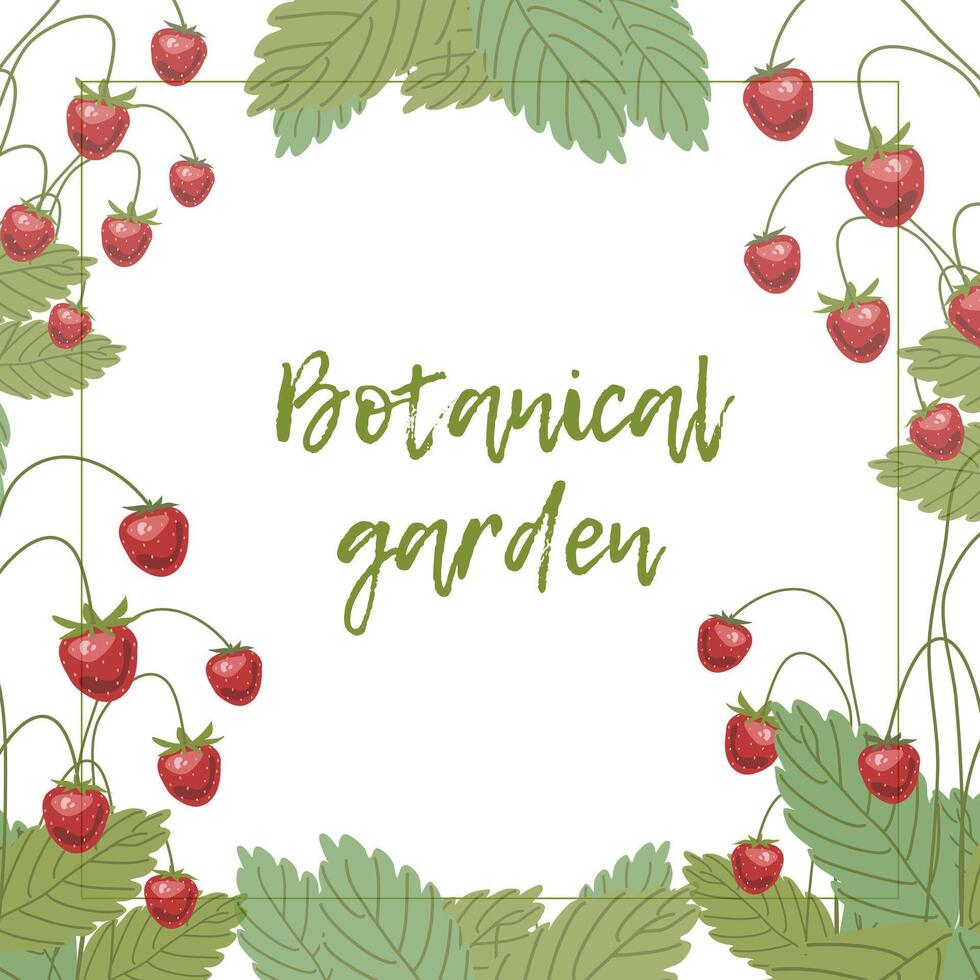 botanico giardino, delizioso maturo frutti di bosco vettore
