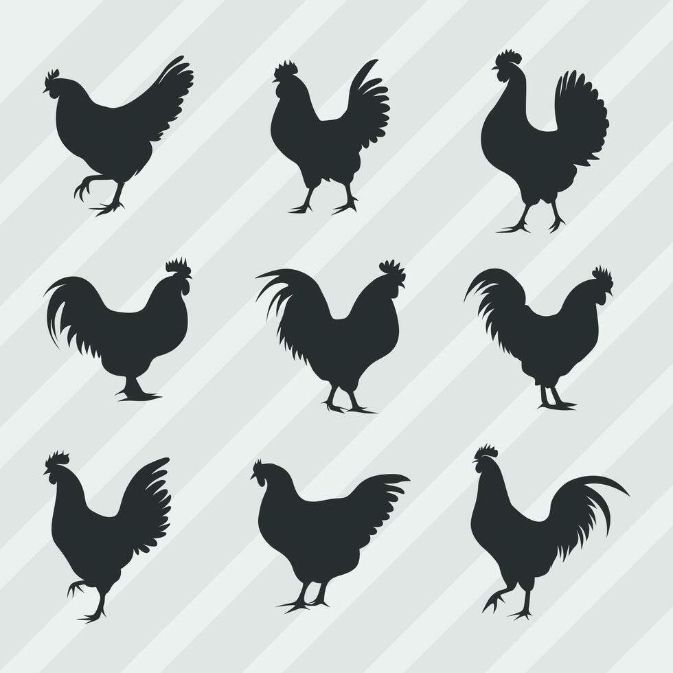 gallina sagome vettore fascio, impostato di cazzo silhouette collezione