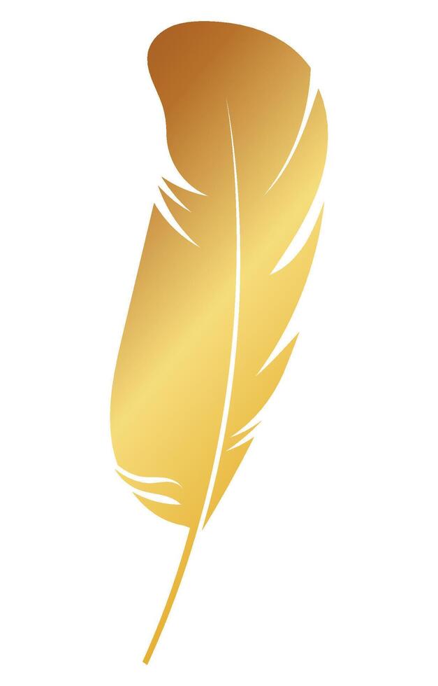d'oro piuma spazzola su un' bianca sfondo piume per grafico elementi vettore