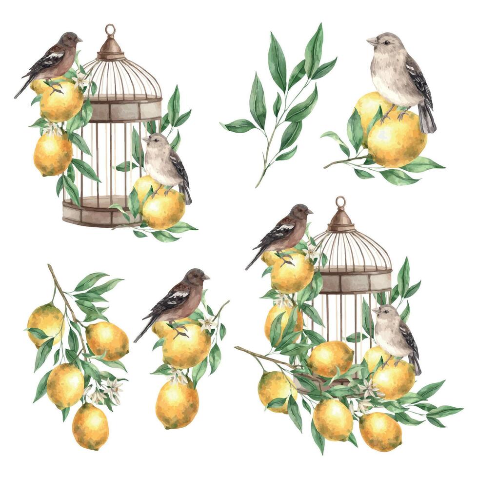 impostato con composizioni di limoni, foglie, uccelli e un' rame Vintage ▾ gabbia. isolato acquerello illustrazione nel Vintage ▾ stile. composizione per interno, carte, nozze disegno, inviti, tessile vettore