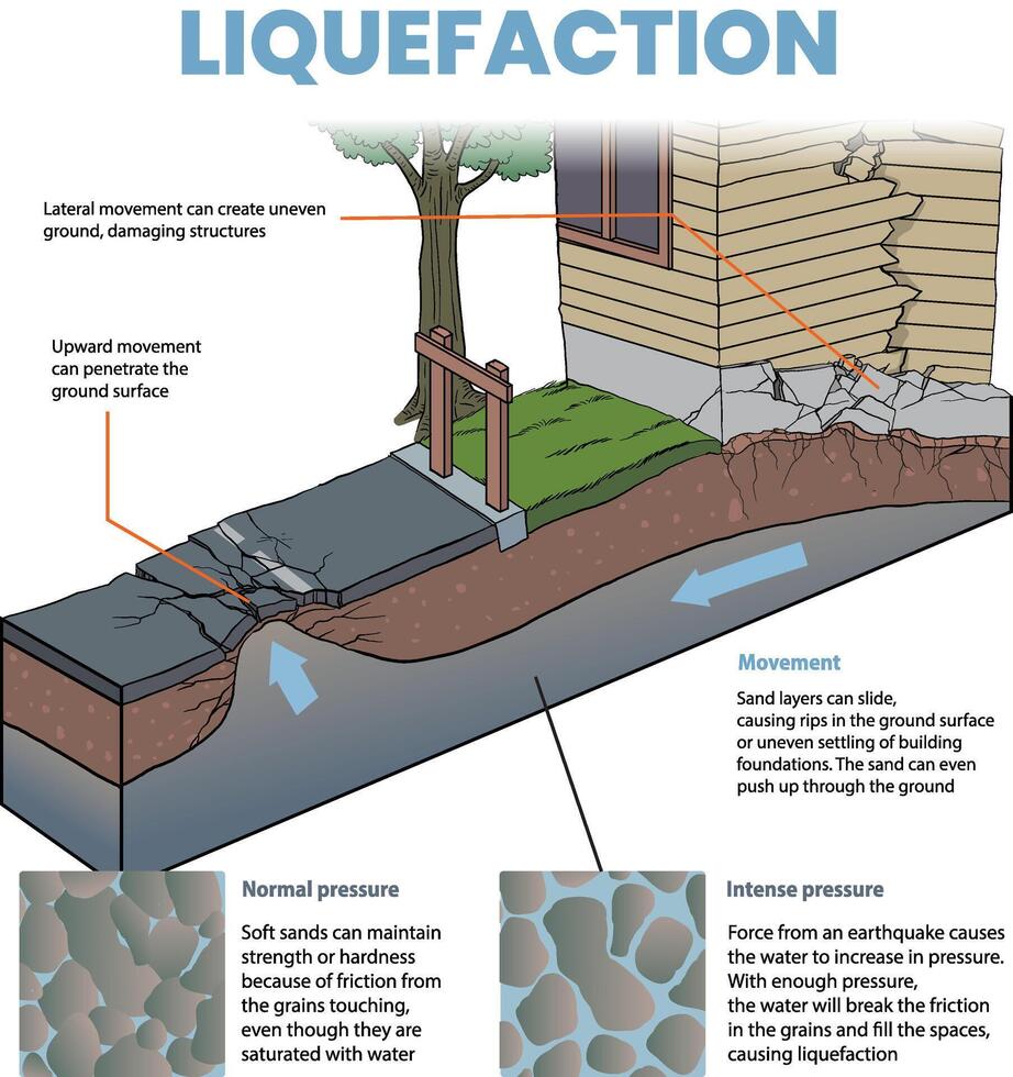 illustrazione di suolo liquefazione attraversare sezione diagramma vettore