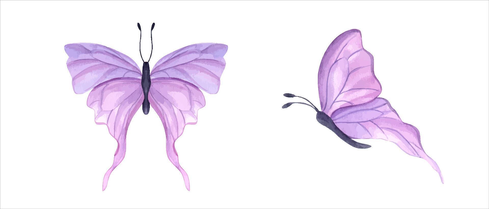 svolazzanti rosa farfalle. impostato di astratto acquerello tropicale insetto. mano disegnato illustrazione. per tessile, nozze invito, bandiera design. vettore