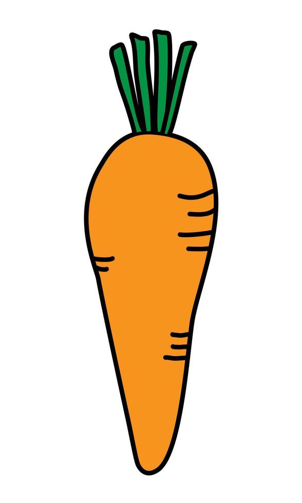 cartone animato stile carota. maturo carota. vitamina verdura. biologico cibo. arancia carote. illustrazione isolato su un' bianca sfondo. vettore