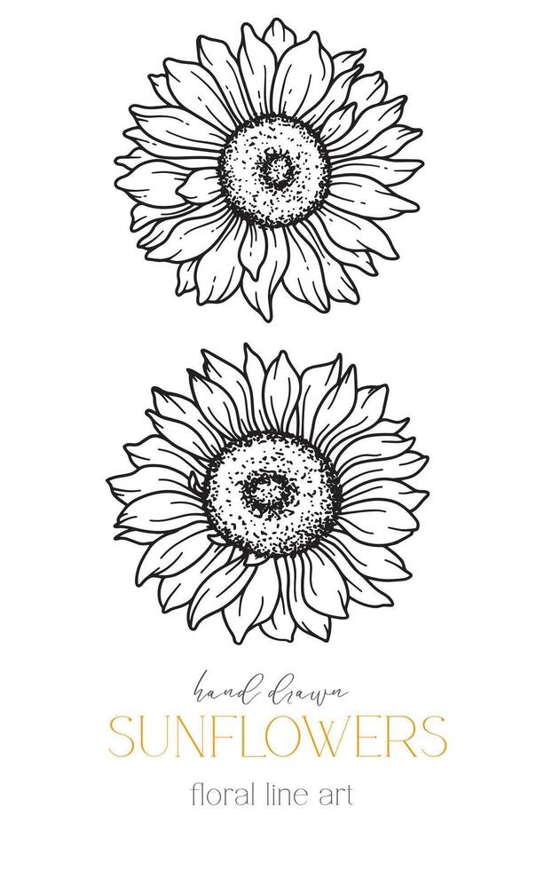 girasoli linea arte, bene linea girasoli mano disegnato illustrazione. bene linea girasoli illustrazione. floreale linea arte. nero e bianca girasoli grafica vettore