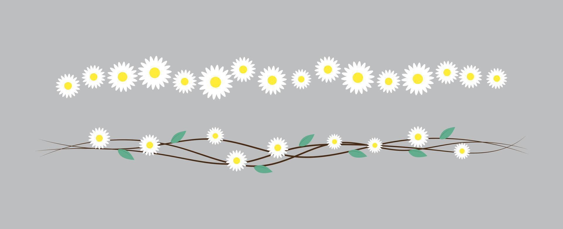 bellissimo margherita fiori, ramo di margherite confine divisore elementi isolato su grigio sfondo. illustrazione vettore