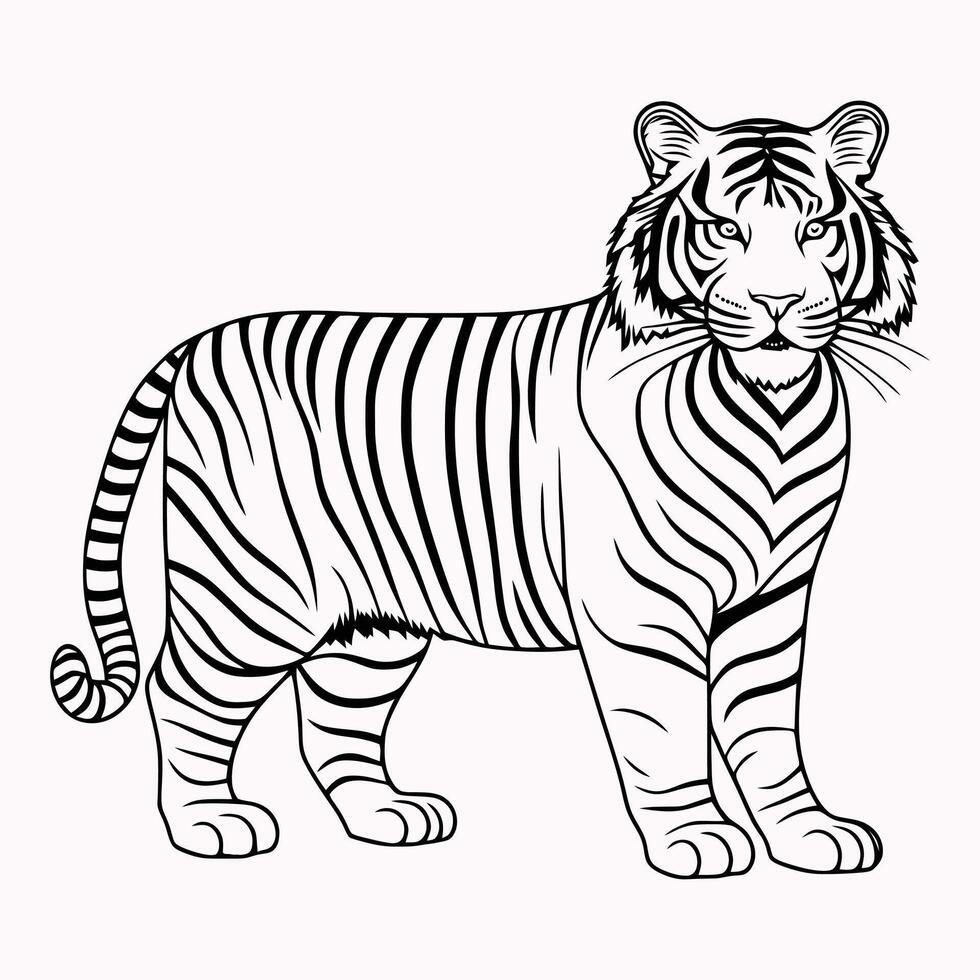 bellissimo tigre linea arte colorazione pagine vettore