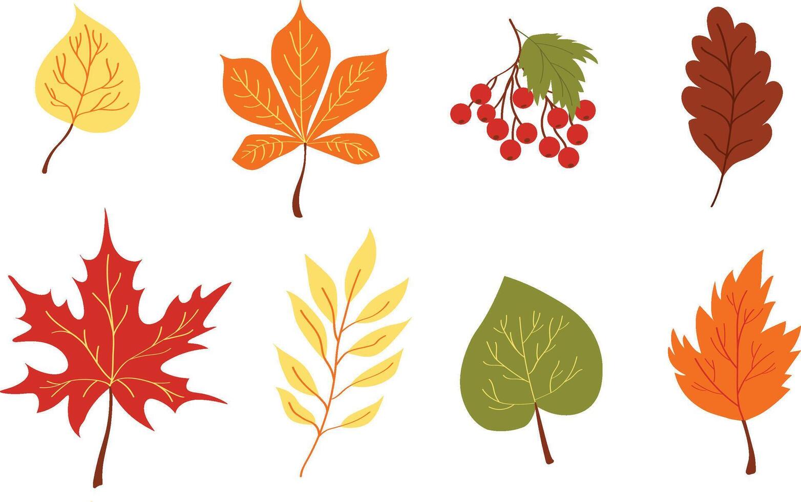 cartone animato autunno le foglie collezione vettore
