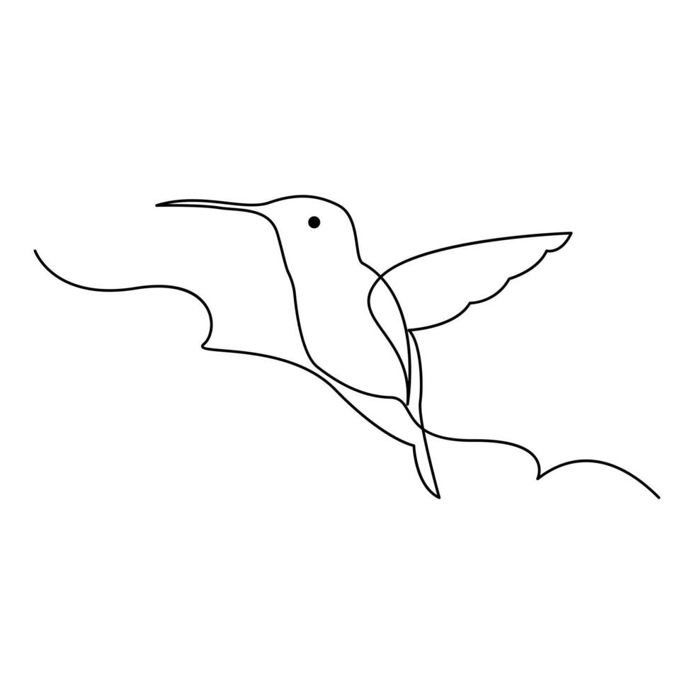 colibrì continuo uno linea disegno illustrazione arte design vettore