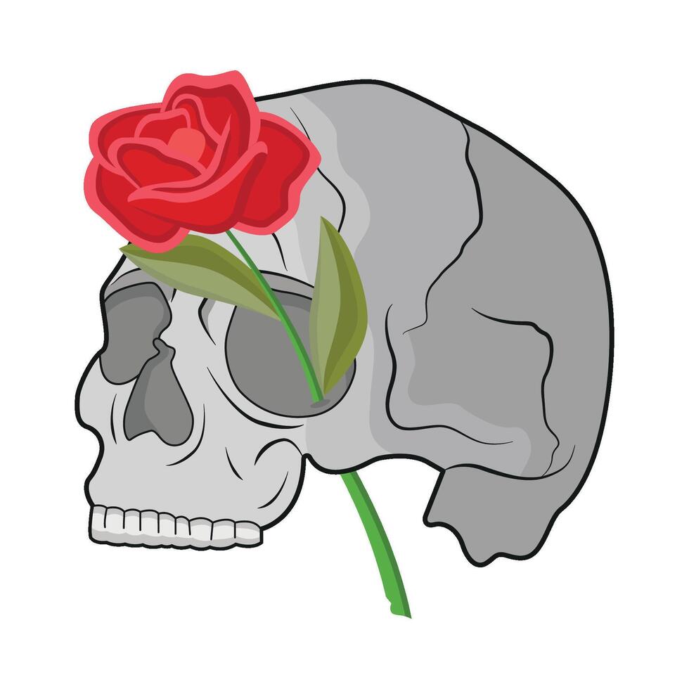 illustrazione di cranio e rosa vettore