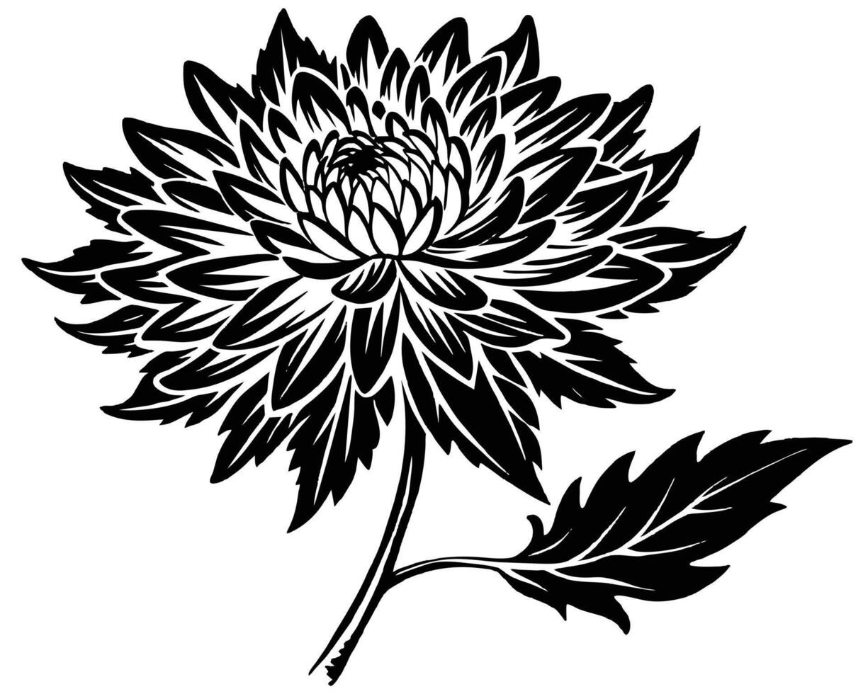 nero silhouette crisantemo fiore vettore
