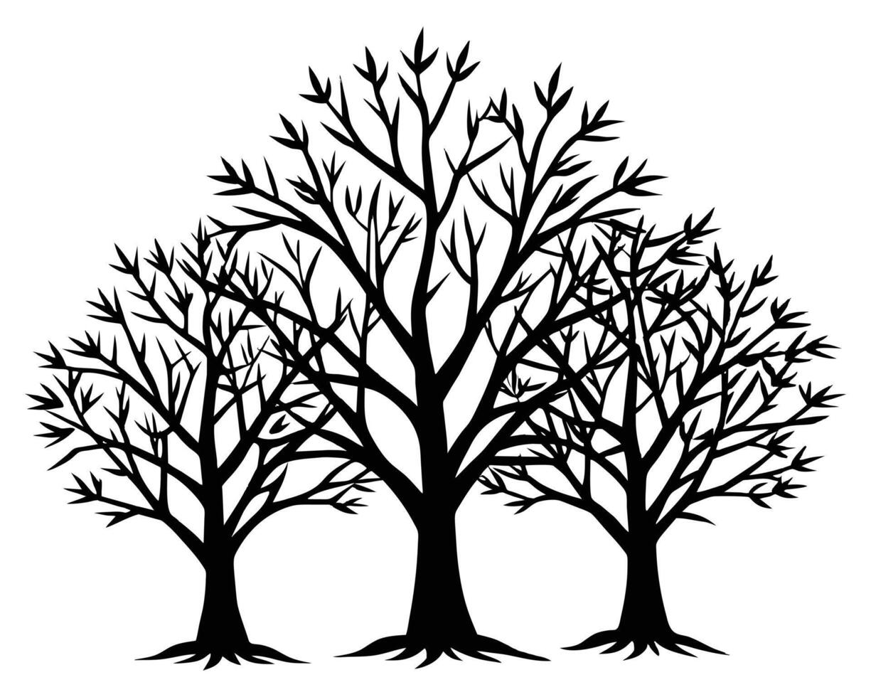 natura alberi schema vettore
