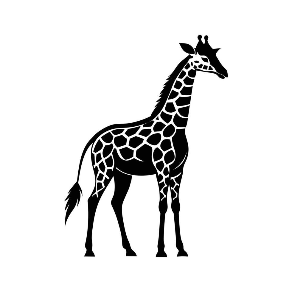 un' giraffa con un' nero e bianca disegno su bianca sfondo vettore