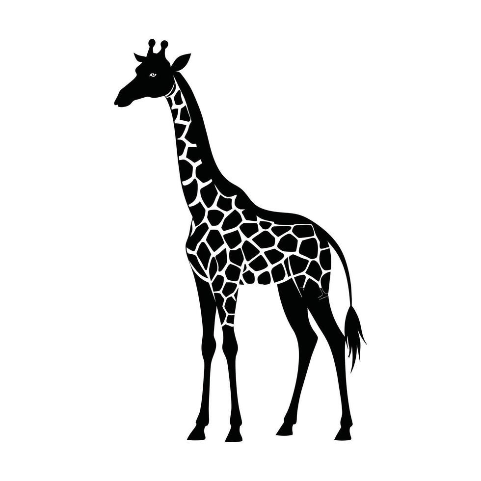 un' giraffa con un' nero e bianca disegno su bianca sfondo vettore