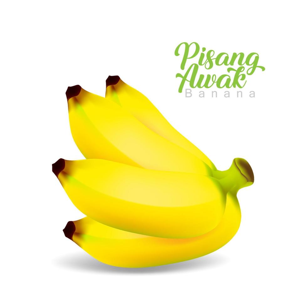 pisang awak banana realistico primo piano su sfondo bianco vettore