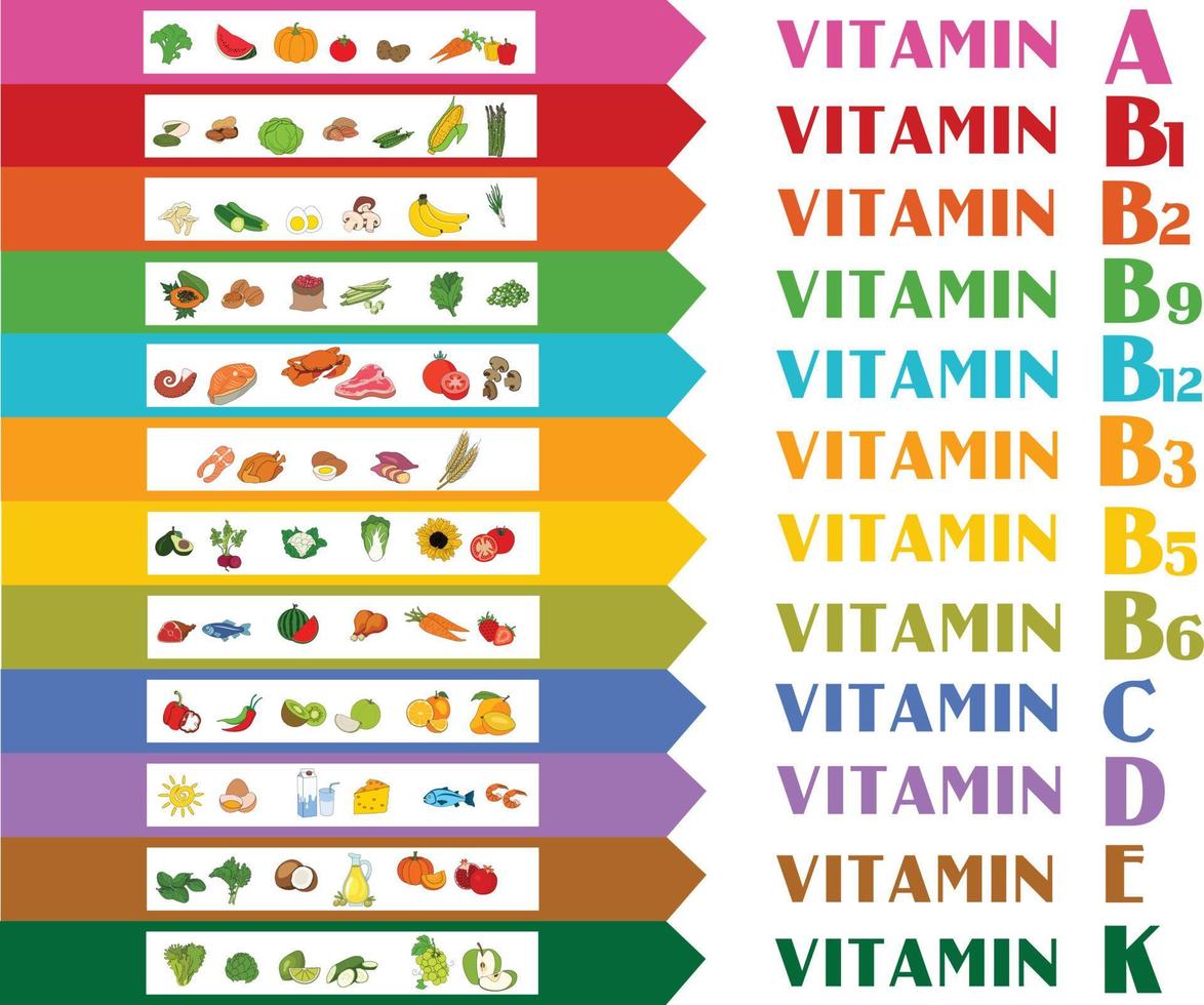 fonti alimentari di vitamine. illustrazione vettoriale