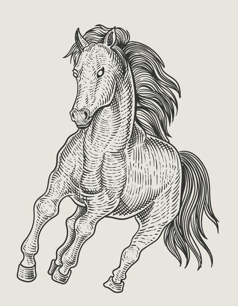 illustrazione stile vintage incisione cavallo vettore