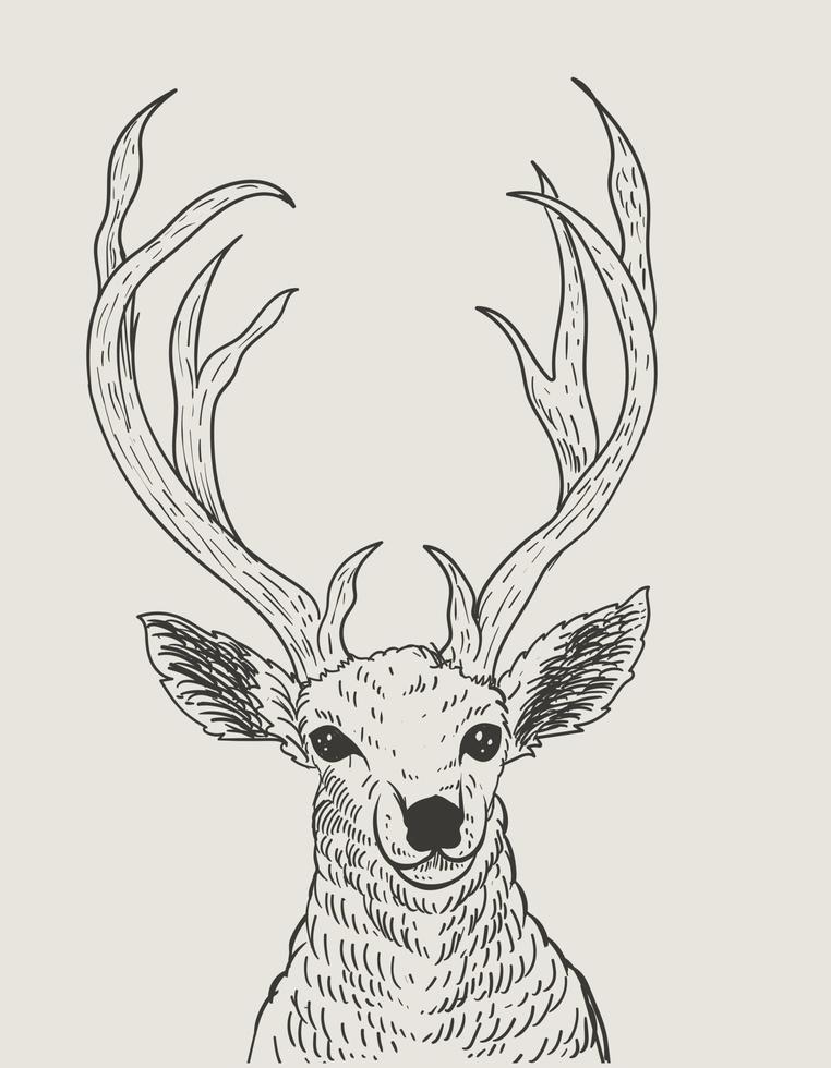 illustrazione stile vintage incisione testa di cervo vettore