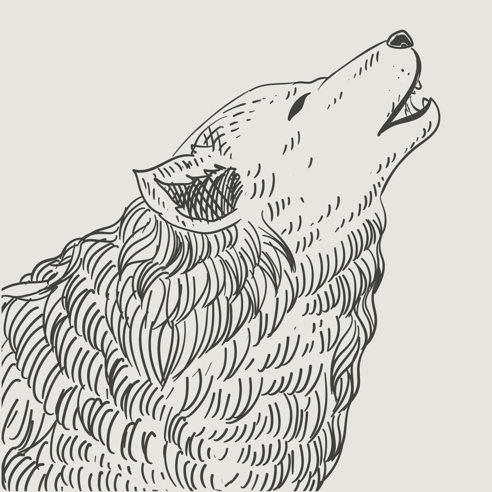 illustrazione stile vintage incisione testa di lupo vettore