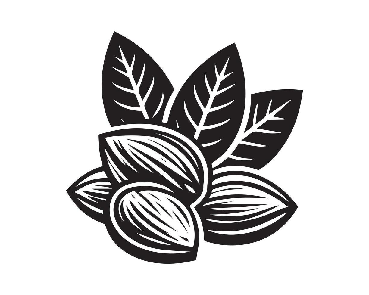 mandorle silhouette icona grafico logo design vettore