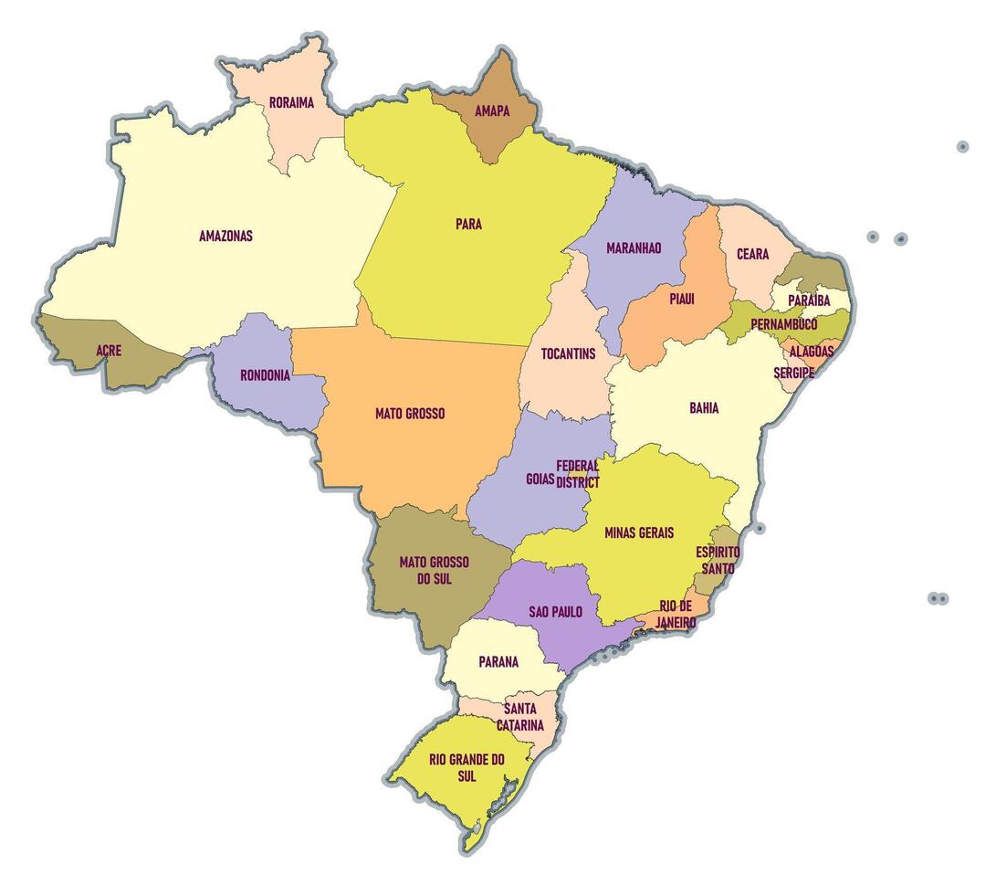 amministrativo schema carta geografica di brasile vettore