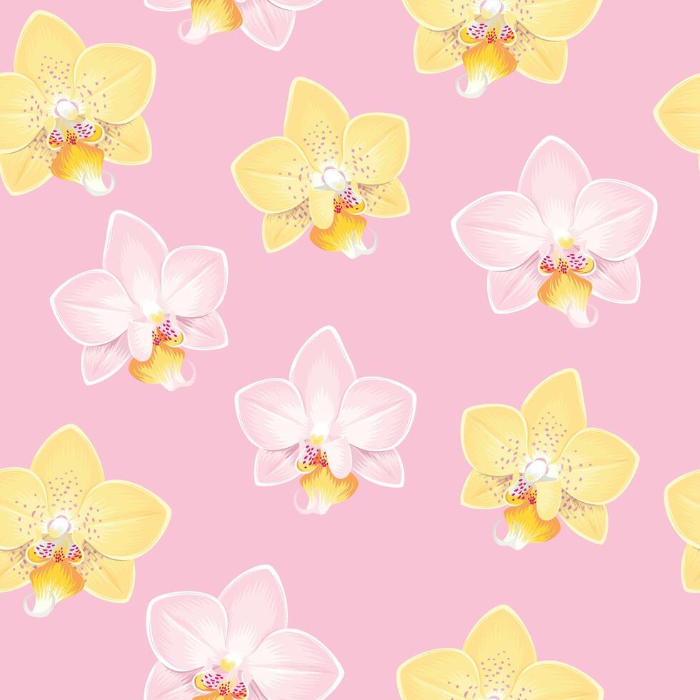 rosa e bianca orchidee senza soluzione di continuità modello su leggero rosa sfondo vettore
