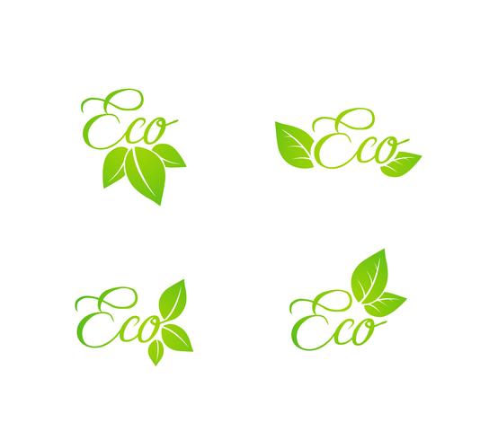 Insieme delle icone di concetto di eco foglia verde vettore