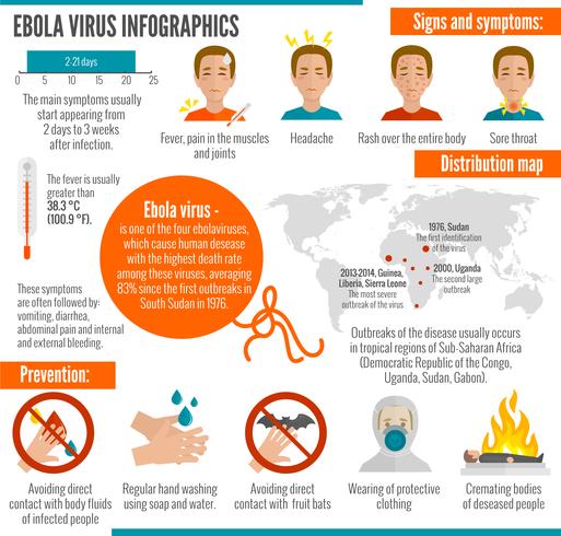 Infografica virus Ebola vettore