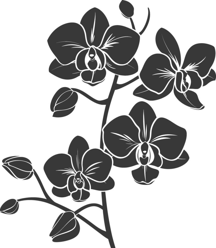 ai generato silhouette orchidea fiore nero colore solo vettore