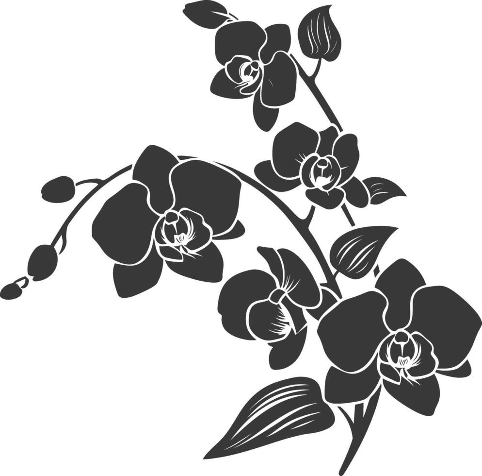 ai generato silhouette orchidea fiore nero colore solo vettore