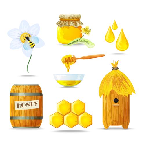 Set di icone di miele vettore