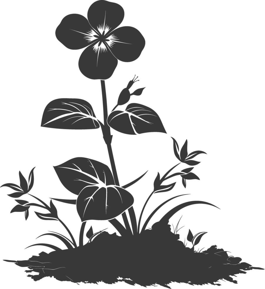 silhouette pervinca fiore nel il terra nero colore solo vettore