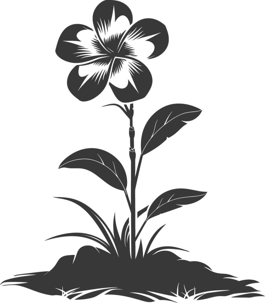 silhouette plumeria fiore nel il terra nero colore solo vettore