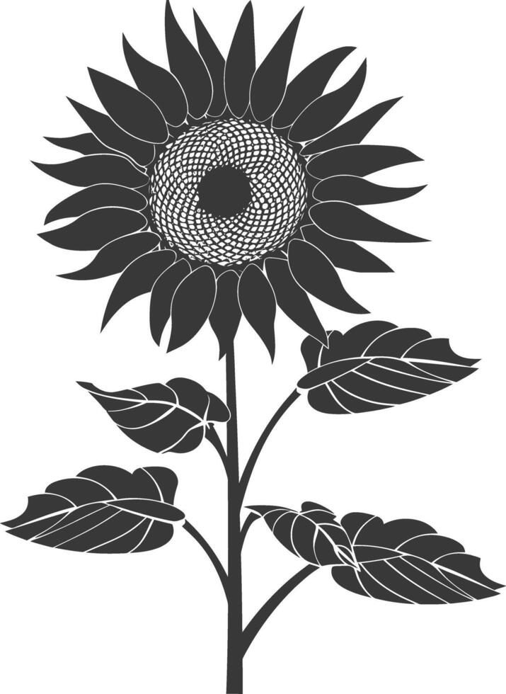 silhouette girasole fiore nero colore solo vettore