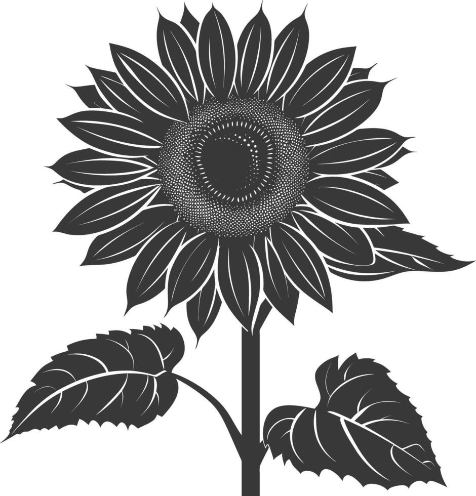 silhouette girasole fiore nero colore solo vettore